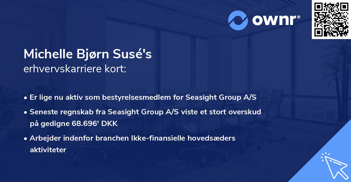 Michelle Bjørn Susé's erhvervskarriere kort