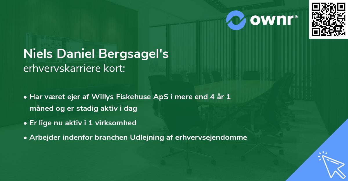 Niels Daniel Bergsagel's erhvervskarriere kort