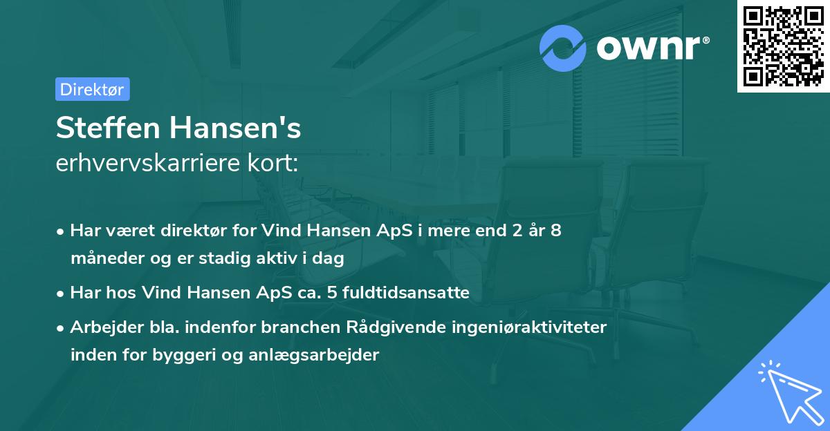 Steffen Hansen's erhvervskarriere kort