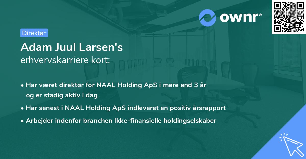 Adam Juul Larsen's erhvervskarriere kort