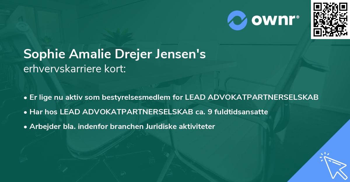 Sophie Amalie Drejer Jensen's erhvervskarriere kort