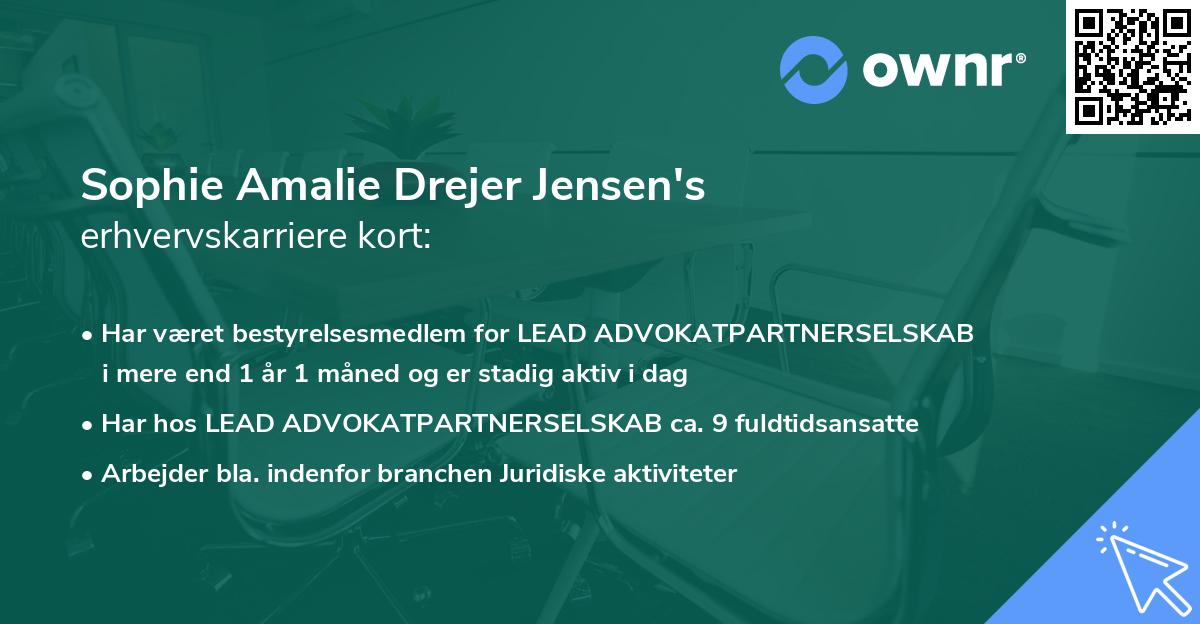 Sophie Amalie Drejer Jensen's erhvervskarriere kort