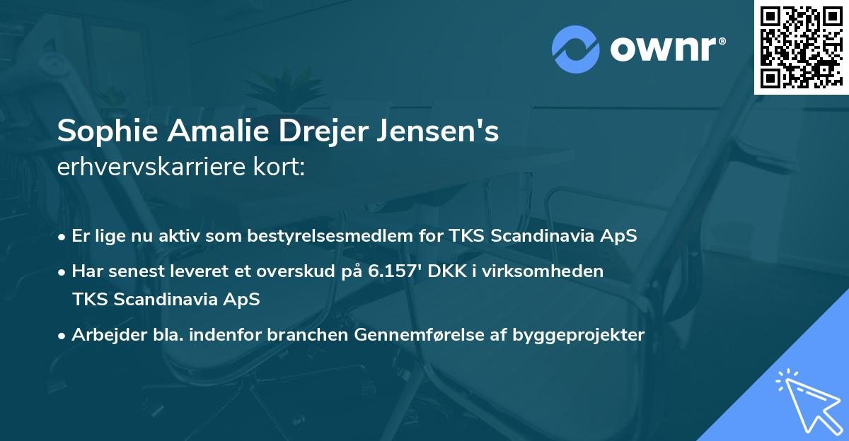 Sophie Amalie Drejer Jensen's erhvervskarriere kort
