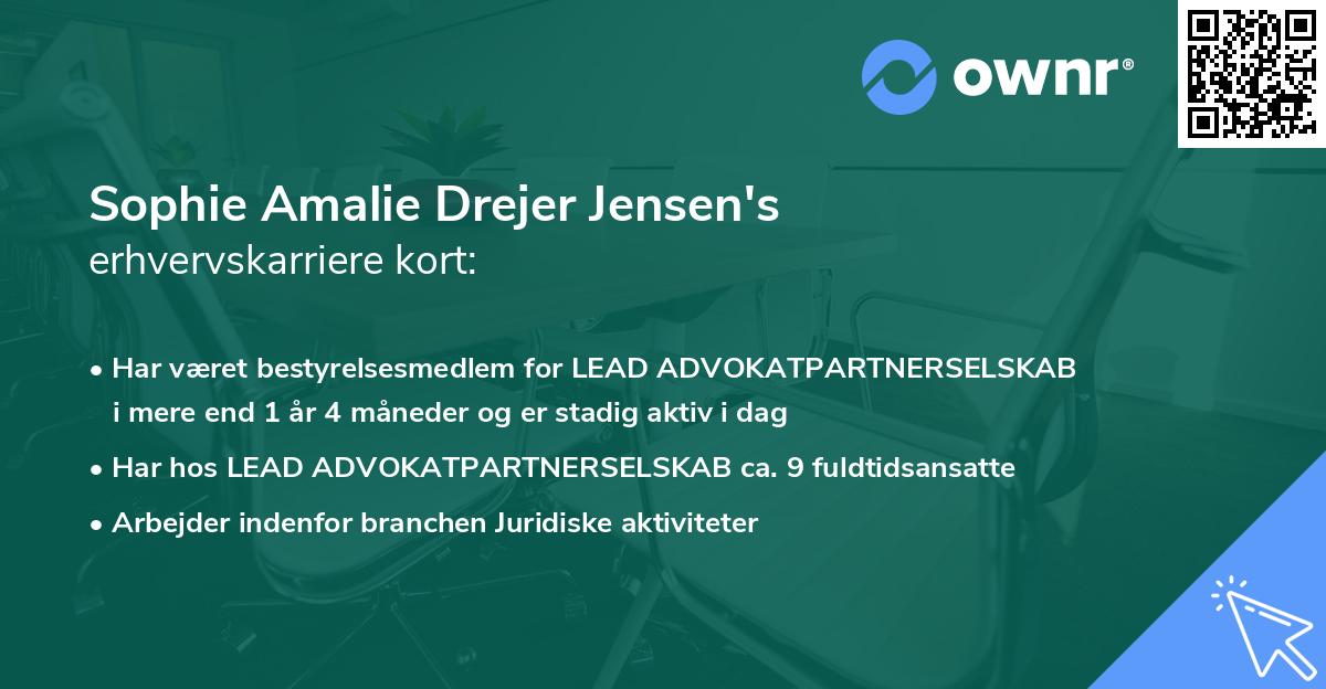Sophie Amalie Drejer Jensen's erhvervskarriere kort