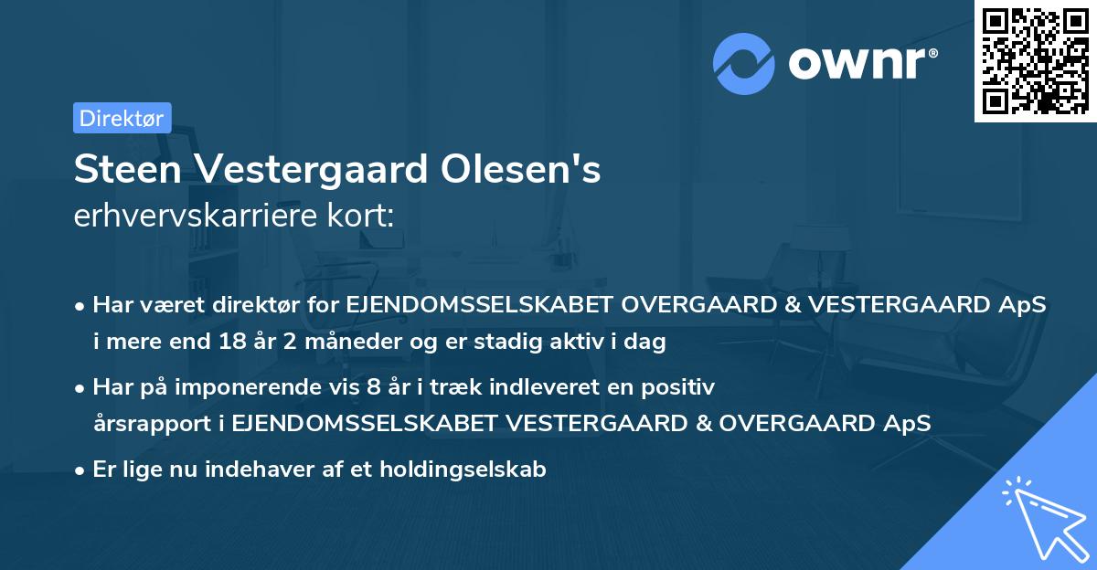 Steen Vestergaard Olesen's erhvervskarriere kort