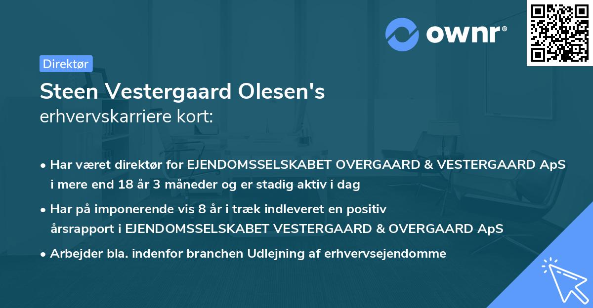 Steen Vestergaard Olesen's erhvervskarriere kort