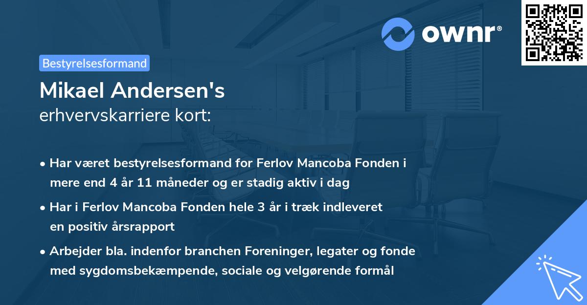 Mikael Andersen's erhvervskarriere kort