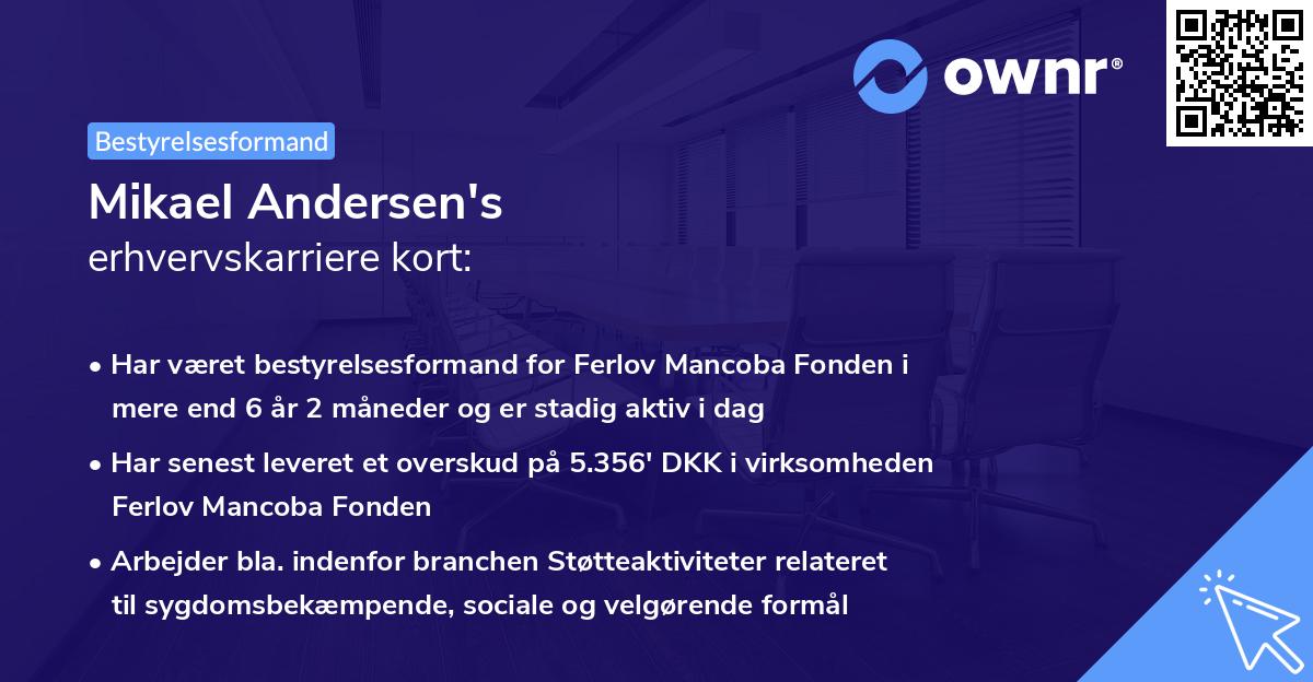 Mikael Andersen's erhvervskarriere kort