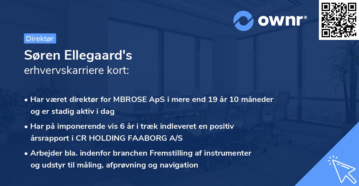 Søren Ellegaard's erhvervskarriere kort