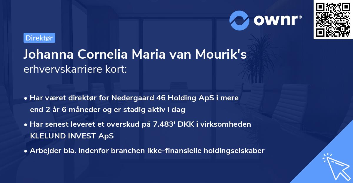 Johanna Cornelia Maria van Mourik's erhvervskarriere kort