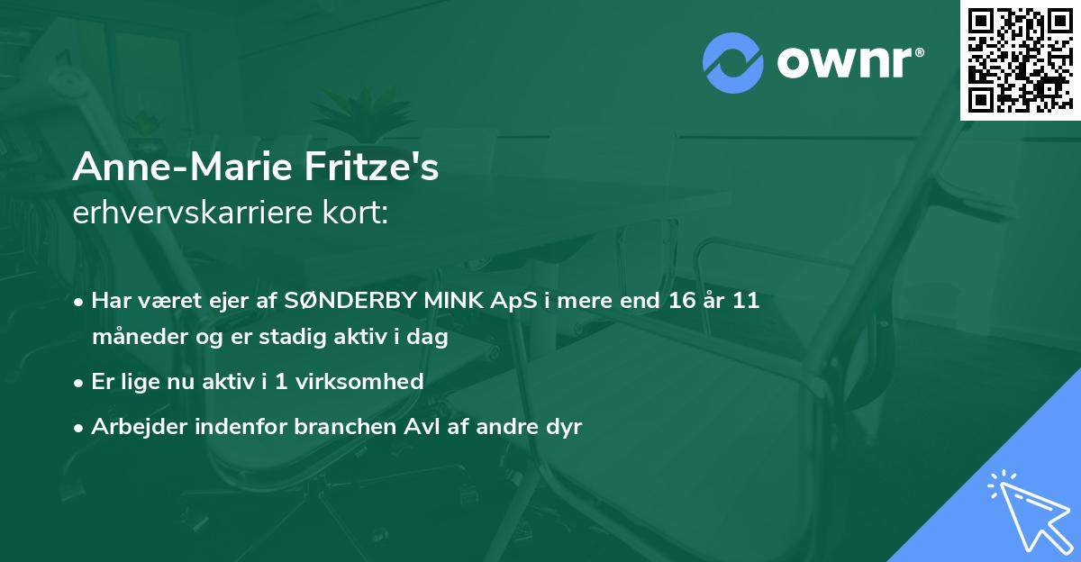 Anne-Marie Fritze's erhvervskarriere kort