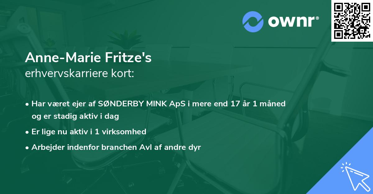 Anne-Marie Fritze's erhvervskarriere kort