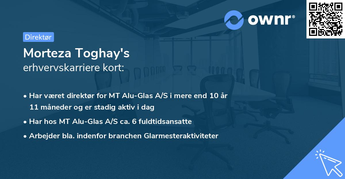 Morteza Toghay's erhvervskarriere kort