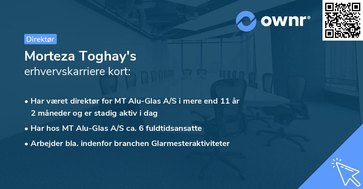 Morteza Toghay's erhvervskarriere kort