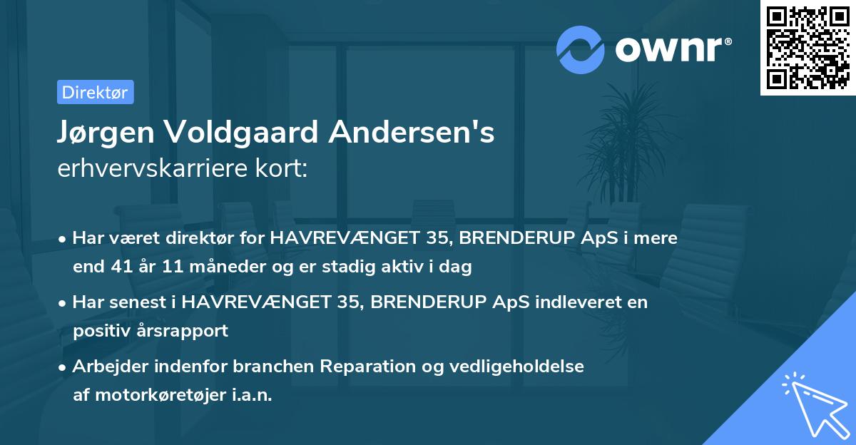 Jørgen Voldgaard Andersen's erhvervskarriere kort
