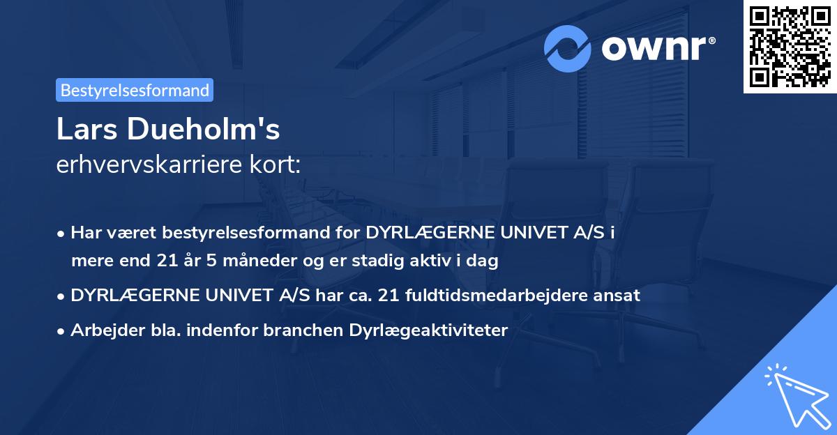 Lars Dueholm's erhvervskarriere kort