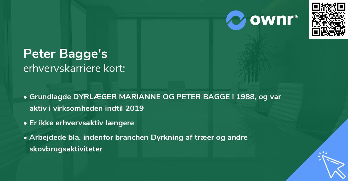 Peter Bagge's erhvervskarriere kort