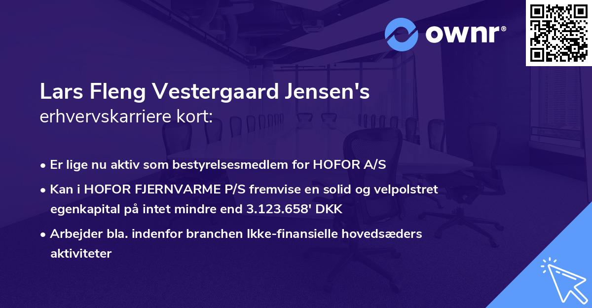 Lars Fleng Vestergaard Jensen's erhvervskarriere kort