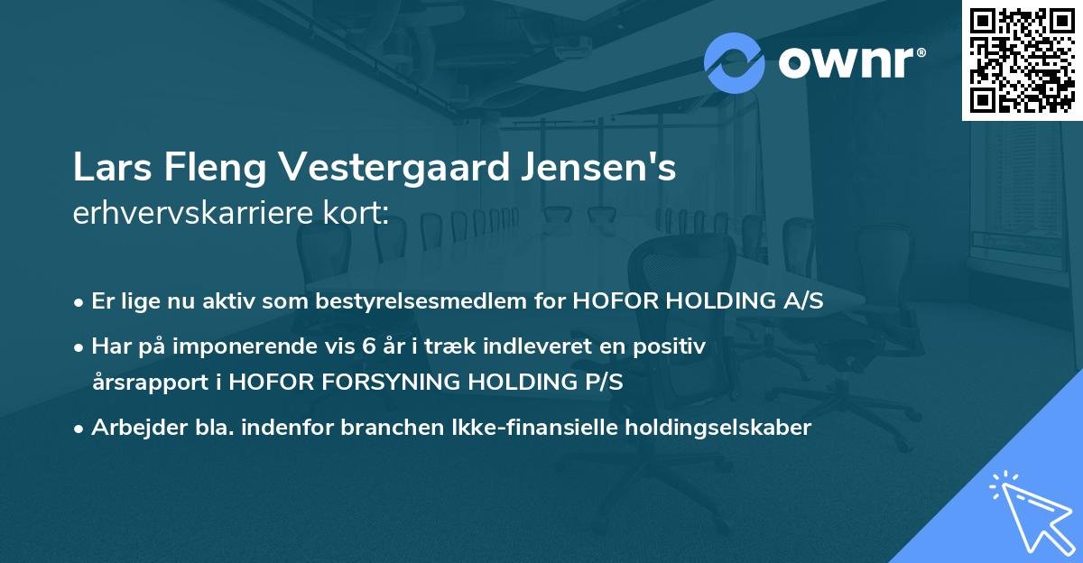 Lars Fleng Vestergaard Jensen's erhvervskarriere kort