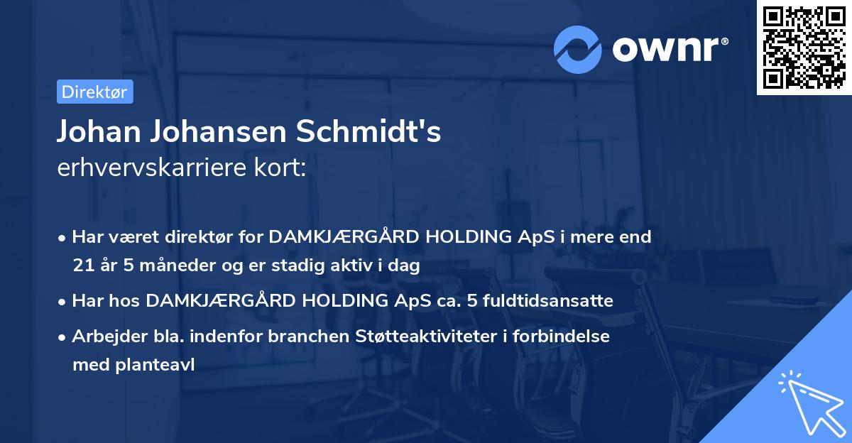Johan Johansen Schmidt's erhvervskarriere kort