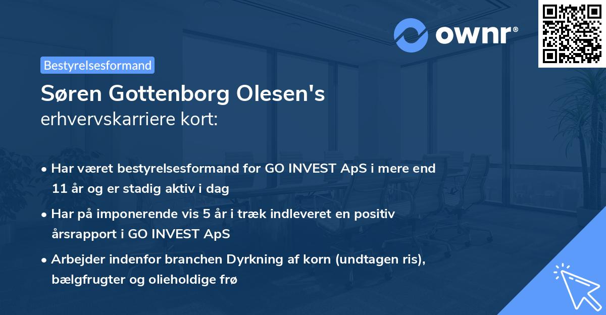 Søren Gottenborg Olesen's erhvervskarriere kort