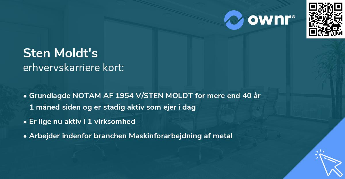 Sten Moldt's erhvervskarriere kort