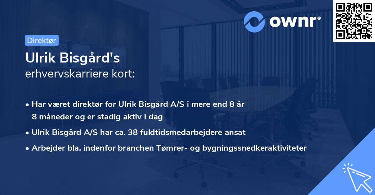 Ulrik Bisgård's erhvervskarriere kort