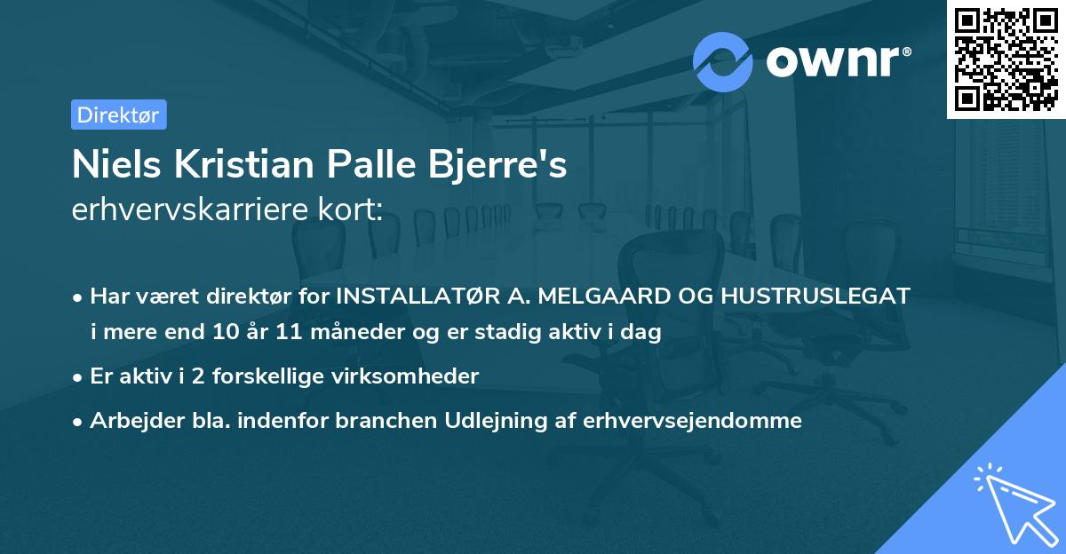 Niels Kristian Palle Bjerre's erhvervskarriere kort