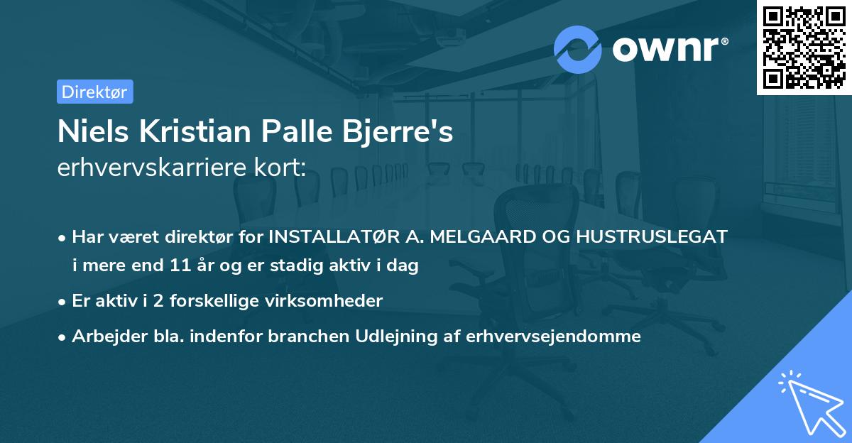Niels Kristian Palle Bjerre's erhvervskarriere kort