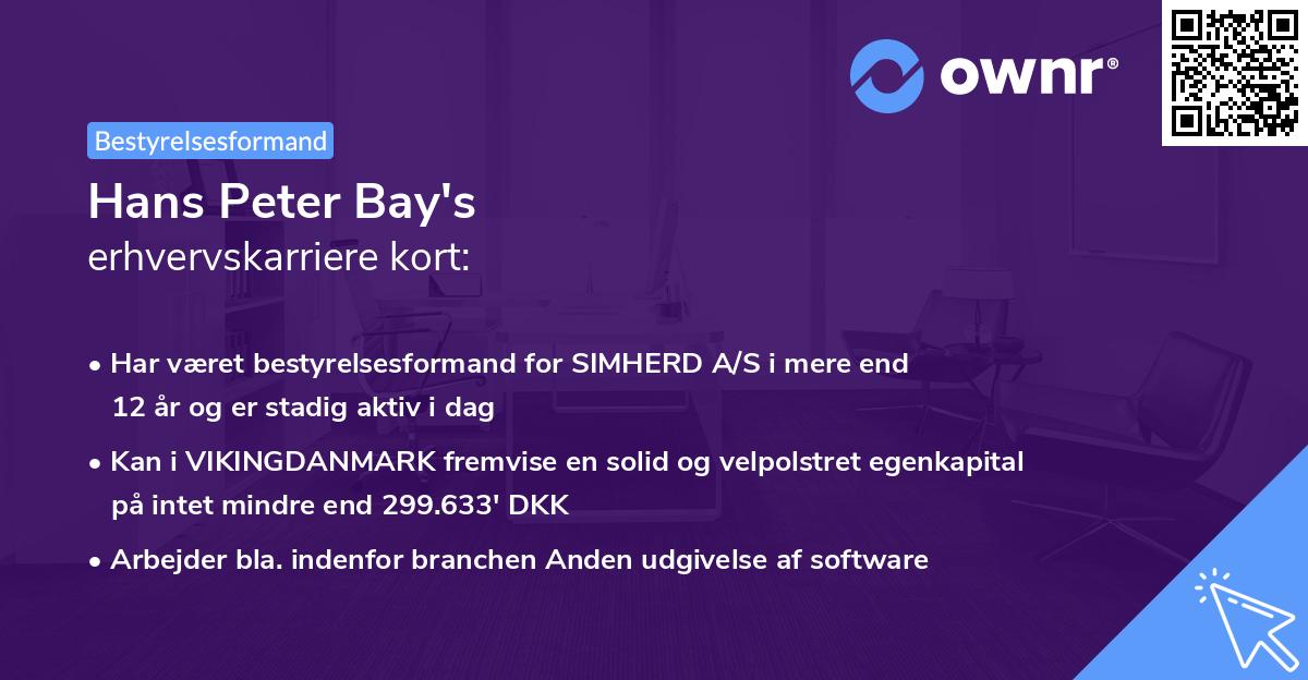Hans Peter Bay's erhvervskarriere kort