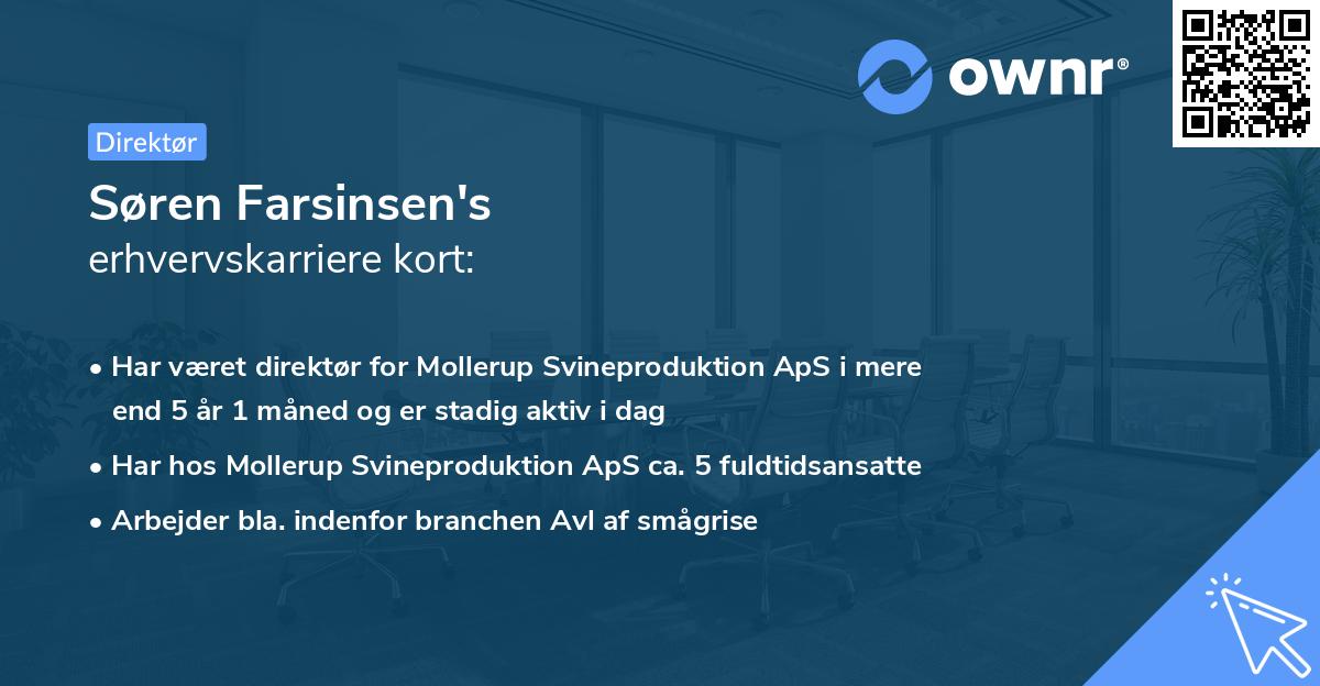 Søren Farsinsen's erhvervskarriere kort
