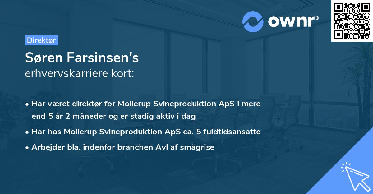 Søren Farsinsen's erhvervskarriere kort