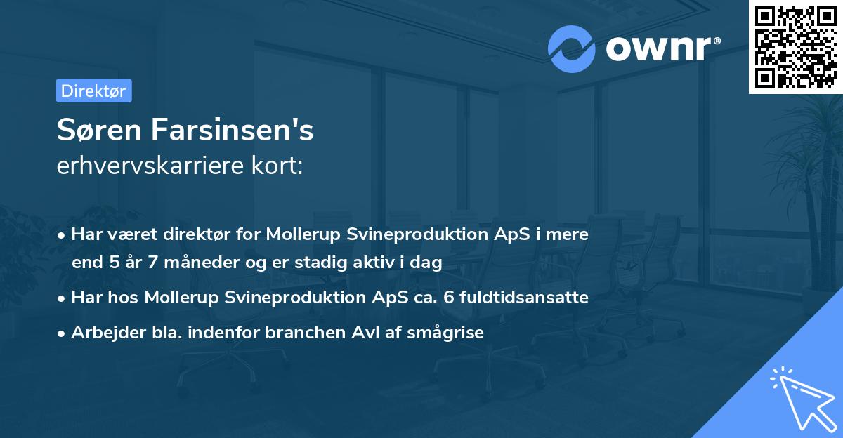 Søren Farsinsen's erhvervskarriere kort