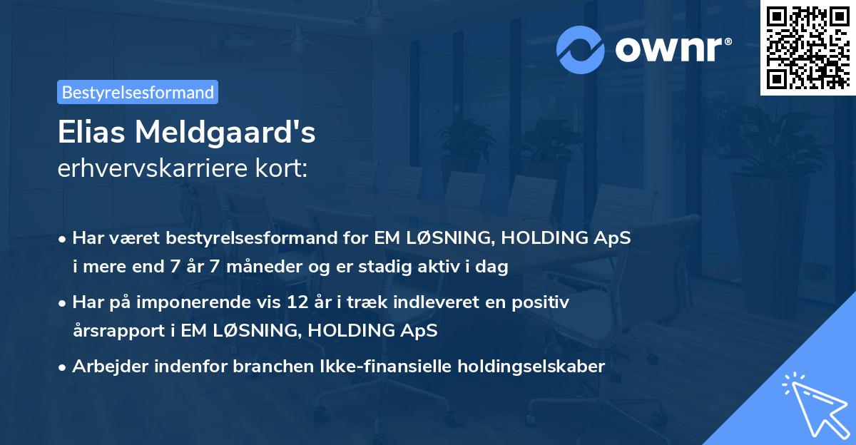 Elias Meldgaard's erhvervskarriere kort