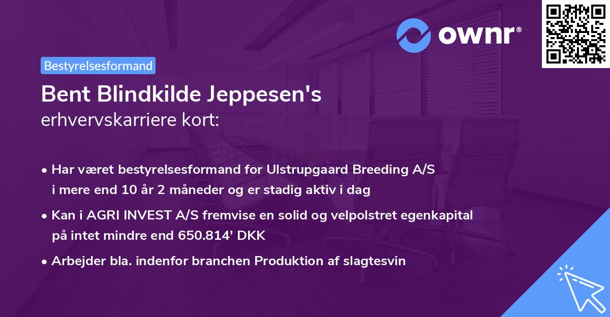 Bent Blindkilde Jeppesen's erhvervskarriere kort