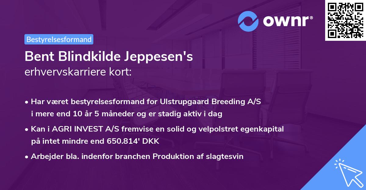 Bent Blindkilde Jeppesen's erhvervskarriere kort