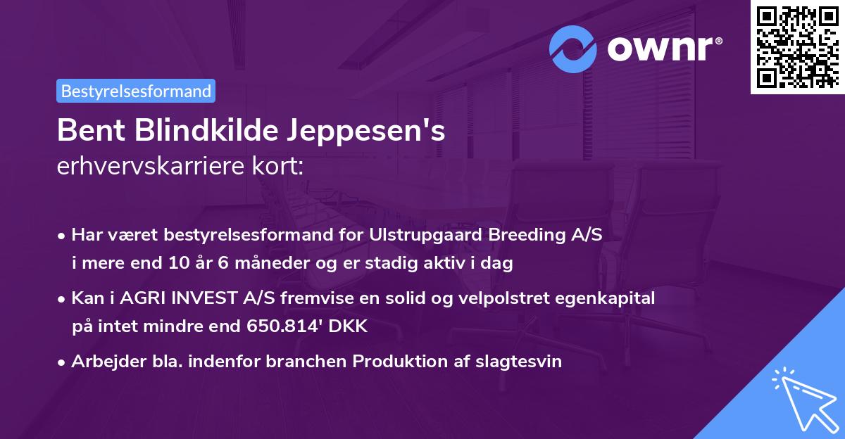 Bent Blindkilde Jeppesen's erhvervskarriere kort