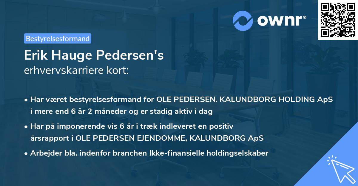 Erik Hauge Pedersen's erhvervskarriere kort