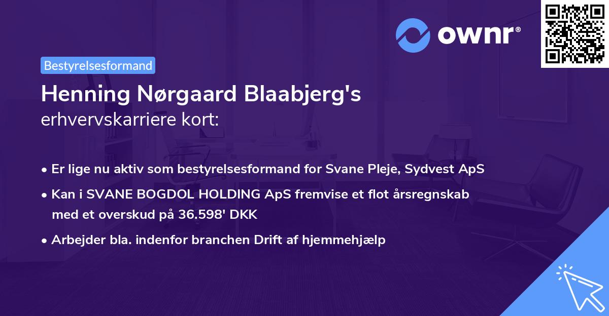 Henning Nørgaard Blaabjerg's erhvervskarriere kort