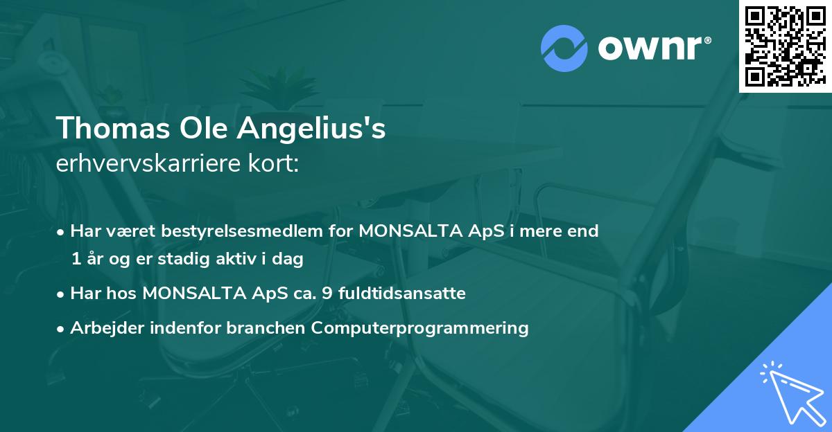 Thomas Ole Angelius's erhvervskarriere kort