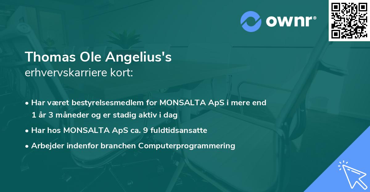 Thomas Ole Angelius's erhvervskarriere kort