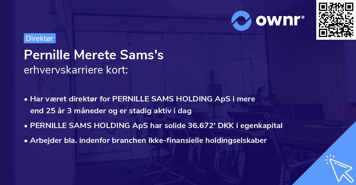 Pernille Merete Sams's erhvervskarriere kort