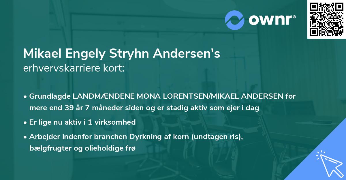 Mikael Engely Stryhn Andersen's erhvervskarriere kort