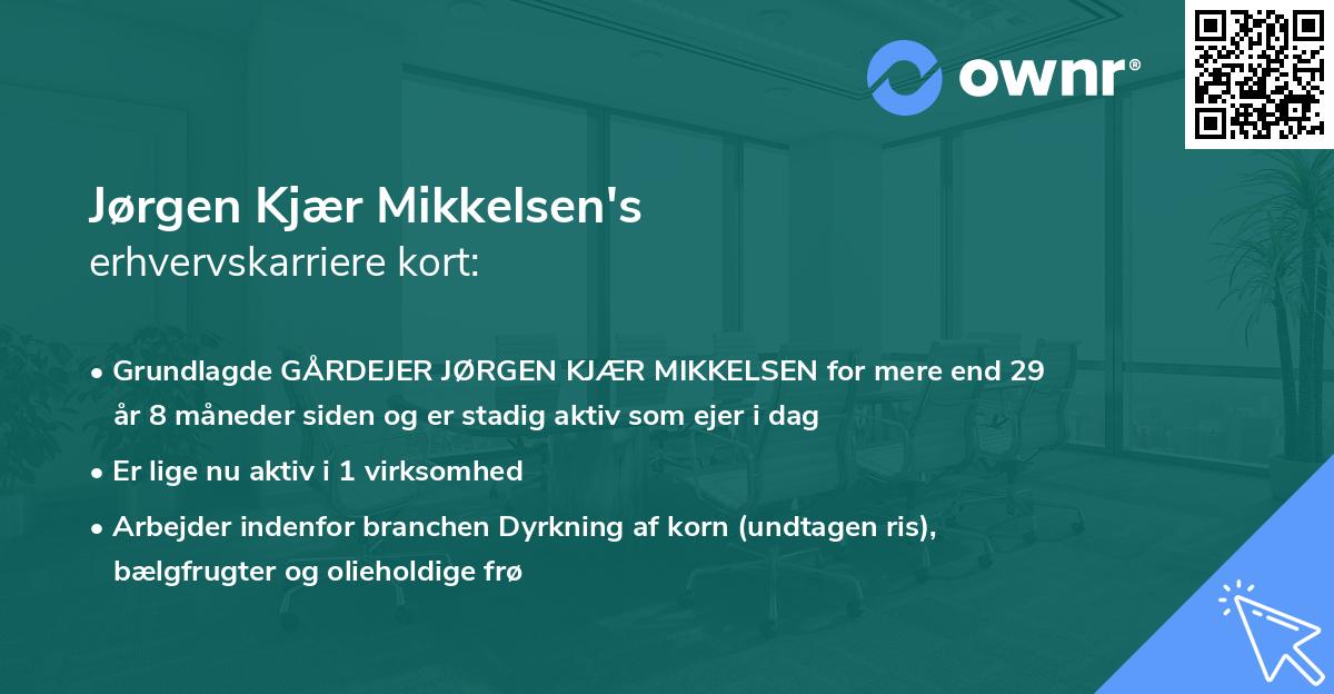 Jørgen Kjær Mikkelsen's erhvervskarriere kort