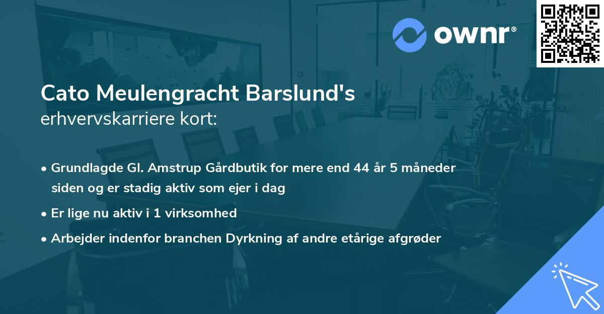 Cato Meulengracht Barslund's erhvervskarriere kort