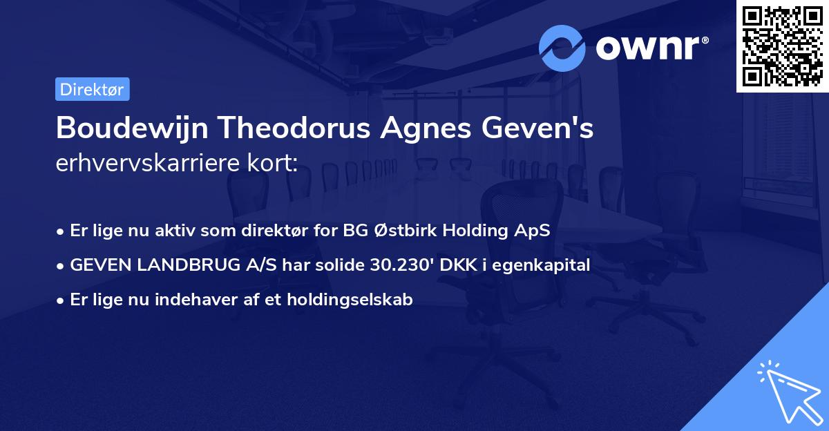 Boudewijn Theodorus Agnes Geven's erhvervskarriere kort