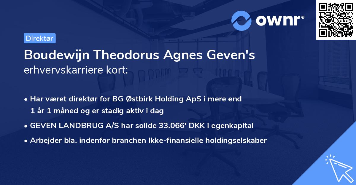 Boudewijn Theodorus Agnes Geven's erhvervskarriere kort