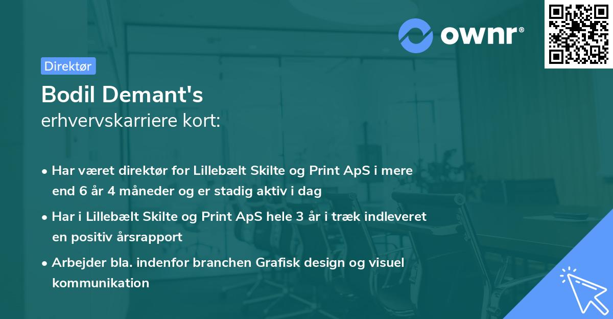 Bodil Demant's erhvervskarriere kort