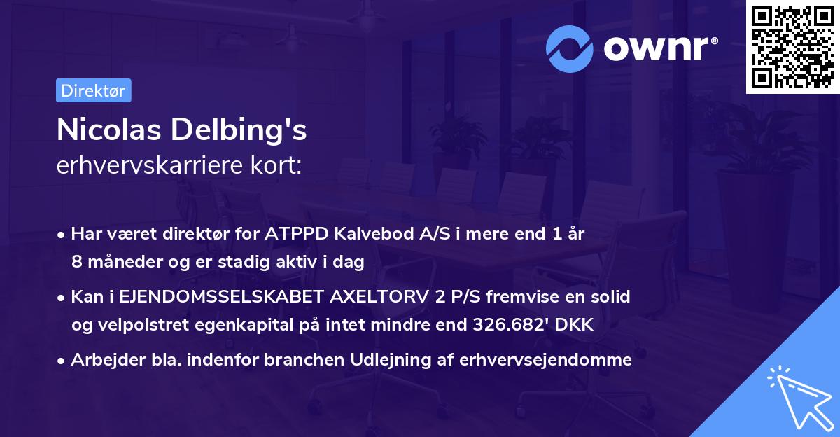 Nicolas Delbing's erhvervskarriere kort