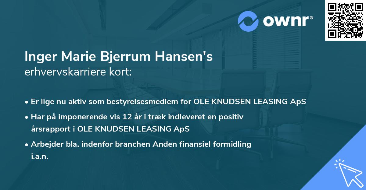 Inger Marie Bjerrum Hansen's erhvervskarriere kort